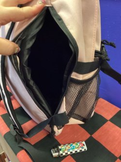 画像8: デイバックパック　リュック（ピンク）