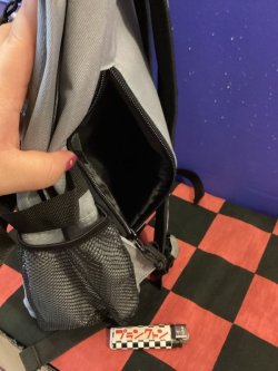 画像8: デイバックパック　リュック（グレー）