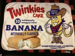 画像1: 裏ボアブランケット（Twinkies）
