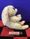 画像2: ビーニーベリーズ　ビーニーブーズ　TyぬいぐるみM （Fern/フェーン） (2)