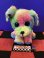画像1: ビーニーベイビーズ　ビーニーブーズ　TyぬいぐるみM （Max/マックス） (1)