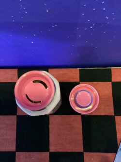 画像4: パワーパフガールズ　八角形ステンレスマグボトル　ステンレス製携帯用まほうびん（集合/ピンク）