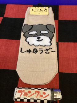 画像1: おえかきさんシリーズ　レディース靴下（しゅなうざーさん) 