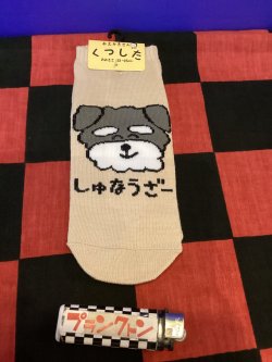画像1: おえかきさんシリーズ　レディース靴下（しゅなうざー) 