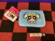 パワーパフガールズ　ミニティッシュポーチ付きパスケース(バブルス)