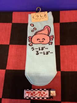 画像1: おえかきさんシリーズ　レディース靴下（うーぱーるーぱー) 