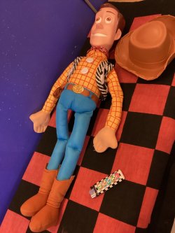 画像3: ウッディ　ビッグブラッシュぬいぐるみ　