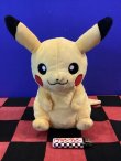 画像1: ポケットモンスター　ぬいぐるみポケットティッシュマスコット(ピカチュウ)