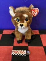 画像: ビーニーベイビーズ　ビーニーブーズ　TyぬいぐるみM （Ｂuckley ベイカー）