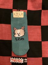 画像: おえかきさんシリーズ　レディース靴下（ちわわさん) 