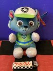 画像1: パウパトロール　TyぬいぐるみM （Rocky/ロッキー)