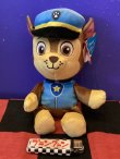 画像1: パウパトロール　TyぬいぐるみM （Chase/チェイス)