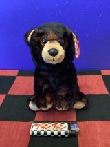 画像: ビーニーブーズ　ぬいぐるみM (Kodi/コディ)