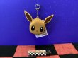 画像1: ポケットモンスター　シリコンミニポーチ（イーブイ)
