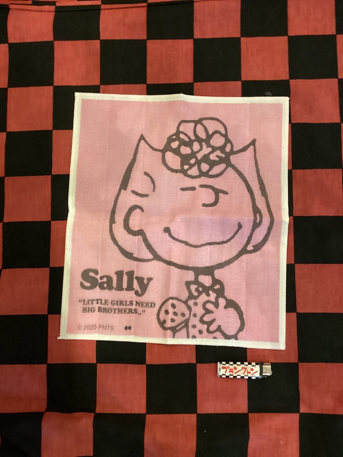 画像1: スヌーピー　ランチョンマット　かや生地ふきん(サリー)